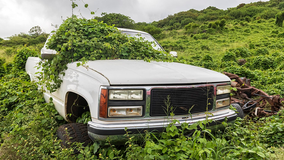 Top Cash for Junk Cars in Norco, CA